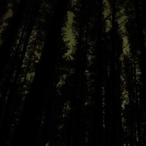 3. Light In The Deep Dark (piano composition) - birgitjakitarr