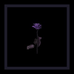 What Are We (우리 사이) [Prod. Cam Stacey]
