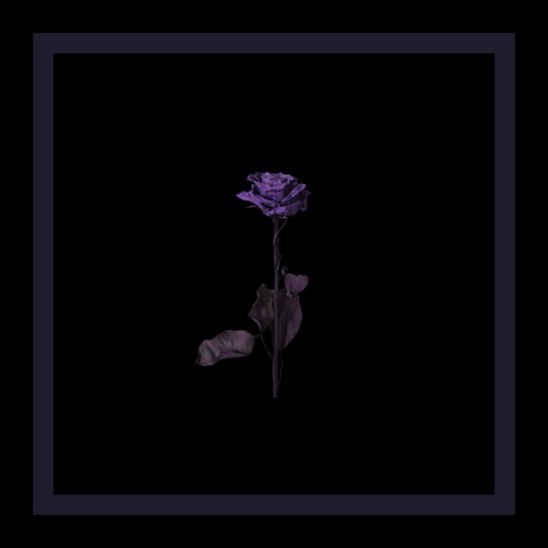 What Are We (우리 사이) [Prod. Cam Stacey]