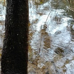 Album Nature1