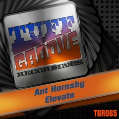 OUT NOW!!! Ant Hornsby - Elevate (Tuff Groove Recordings #065)