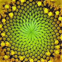 Always Read the Label