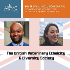 45: British Veterinary Ethnicity & Diversty Society