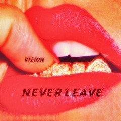 Vizion - Never Leave (She Said)