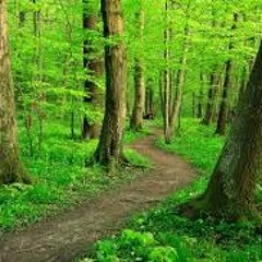 First Aid Kit Cover - I Found A Way