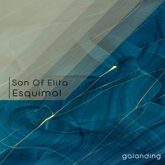Son Of Elita - Camera Roise (Galvino Remix)