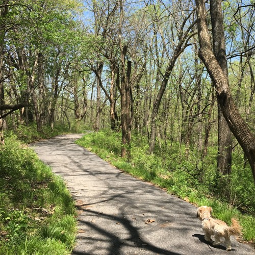 Future 86 (Bomb the Music Industry!)