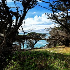 Jan 2019 - Bubbles & Bass (Seize the Day)at House of Yes