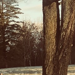 Was I Wrong? (prod. Curtains)