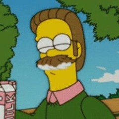 Diddly Doodly (ned Flanders)