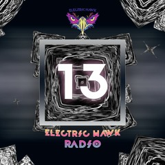Electric Hawk Radio | Episode 13 | Space Wizard