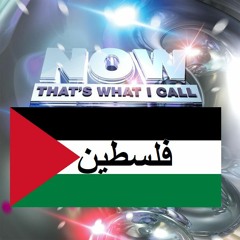 Vol 1: NOW THAT'S WHAT I CALL PALESTINE