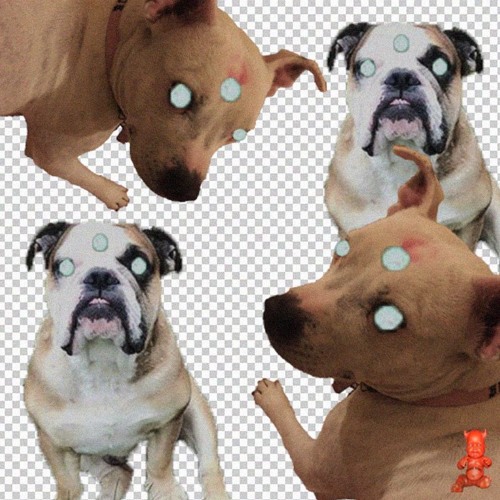 indakut👿(ft. fat slut) prod cystic fibrosis + ded333