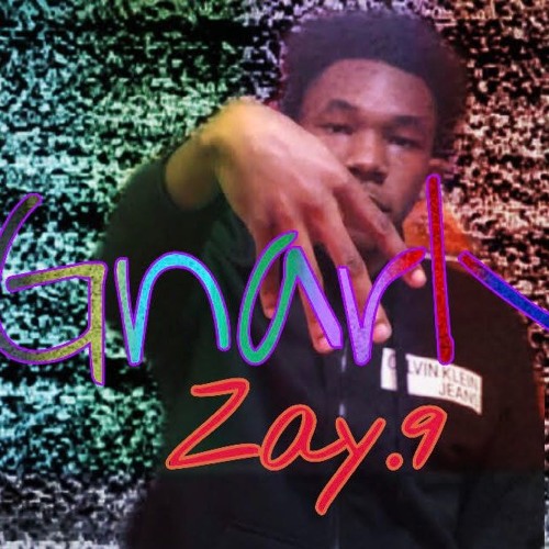 Zay.9- "Gnarly"