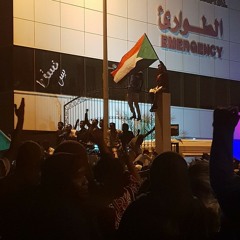 الثورة خيار الشعب - دينا صلاح زروق