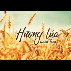 Hương Lúa 稻香