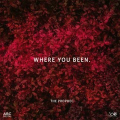 The PropheC - Where You Been (Bass Monks Remix)