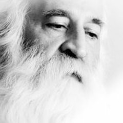 Mohammadreza Shajarian & Mohammadreza Lotfi - Avaz e Bayat Esfahan