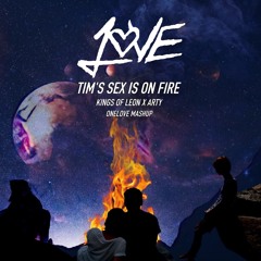 Tim's Sex is on Fire (Kings of Leon X ARTY)
