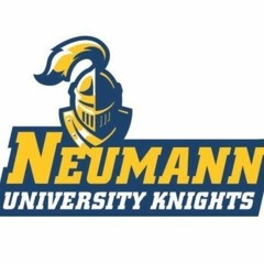 1/18/19- Neumann University hockey vs. Utica College- Highlights