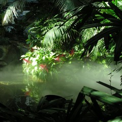 🌿 Jump Up & Jungle 🌿