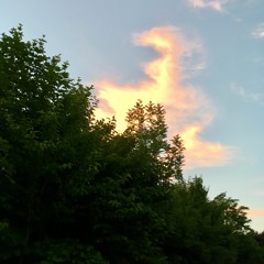 Everything We Ever Felt