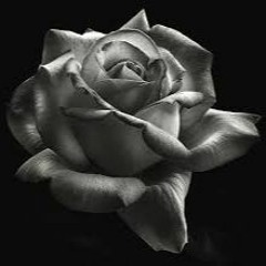 Romeo n Juliet - 1:19:19, 12.46 PM