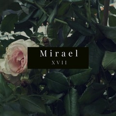 Mirael - Вселенная
