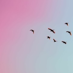 Calm and Beautiful