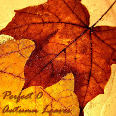 Sunduo (Perfect0) - Autumn Leaves Chillout Mix