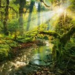 The Adventure Begins!