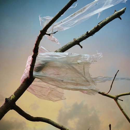 Patrick O'Hearn - Beyond this Moment
