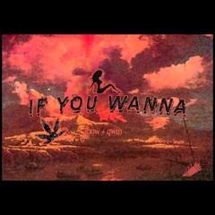 IfYouWanna (Stunna) (feat. qwin)