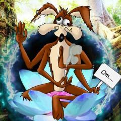 03 - Namascoyote - Hippieleptic 180 Kmh