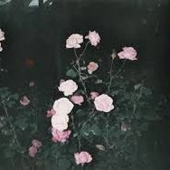 Lovely-Billie Eilish (cover by Aiko x The Bradley Davis )