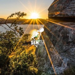 SEM fm #080: Attributionmodell in Google AdWords