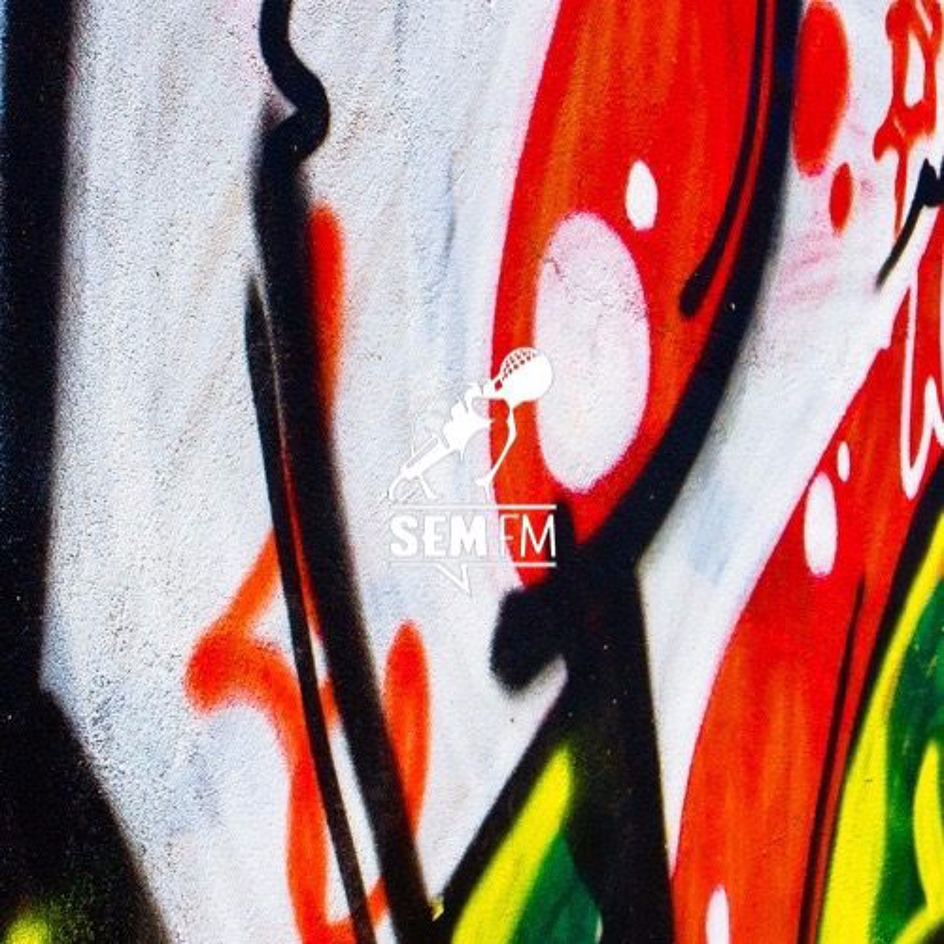 SEM fm #056: SEAcamp 2014 episode artwork