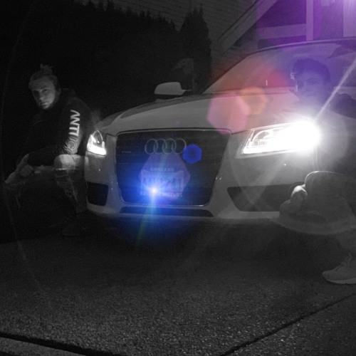 Floodlight X Van Dro - SWITCH