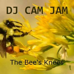 That Shit, Real (Action)