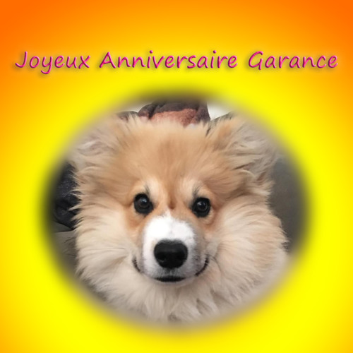 Stream Joyeux Anniversaire Garance By Dj Assid Listen Online For Free On Soundcloud Stream Joyeux Anniversaire Garance By Dj Assid Listen Online For Free On Soundcloud
