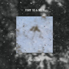 FORM '95 & Nect - Particles
