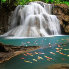 My Dreams · Maui Ogo