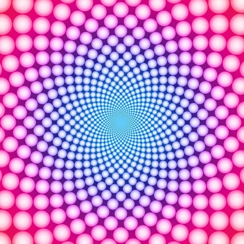 Born To Be Wild - with Tom Adams / guitar and Paploviante Paul Racle / bass