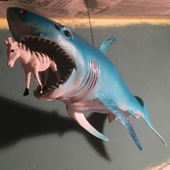 Sharkophilie 2019.1