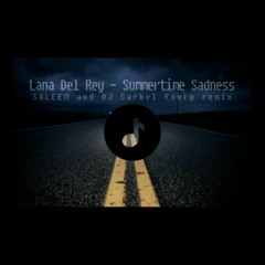 Lana Del Rey - Summertime Sadness ( SALEEM And DJ Charbel Khoury Remix )