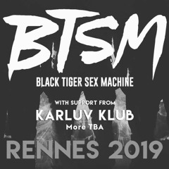 DJSET - BTSM Ceremony Tour [RENNES - 17.01.19]