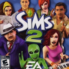 Black Hole Multiverse