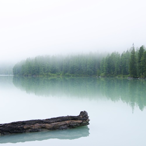 Shamanic Wood [COPYRIGHT FREE MUSIC]