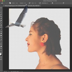 I Can Show You iPhone recorded