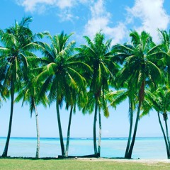 California Dreaming Abi.J ft YFH Polo,38 baby.